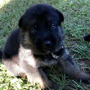 Meet your Posher, Jesus